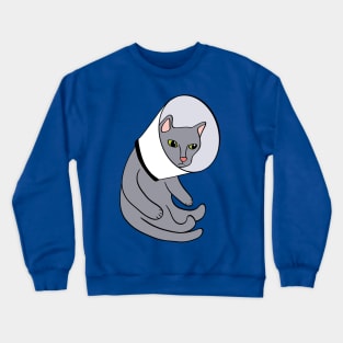 Cat in a Cone Crewneck Sweatshirt
